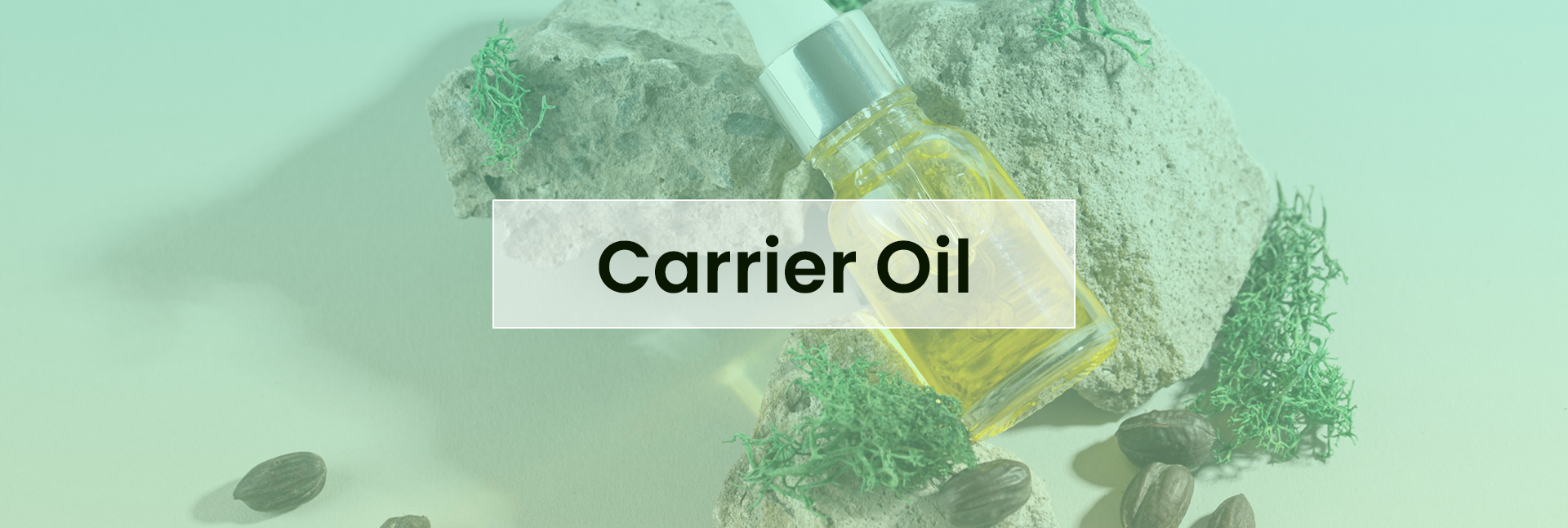 Carrier Oil