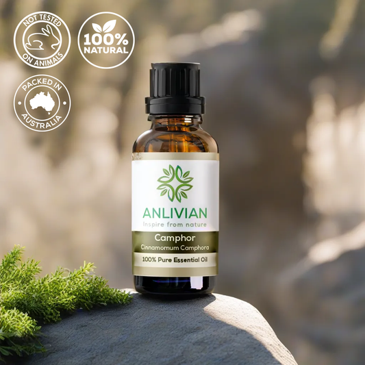 Camphor Essential Oil