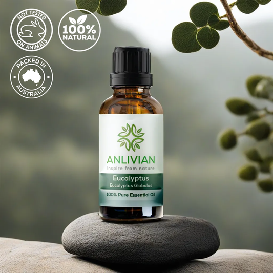 A bottle of Anlivian Eucalyptus Essential Oil placed on a rock with eucalyptus leaves in the background.