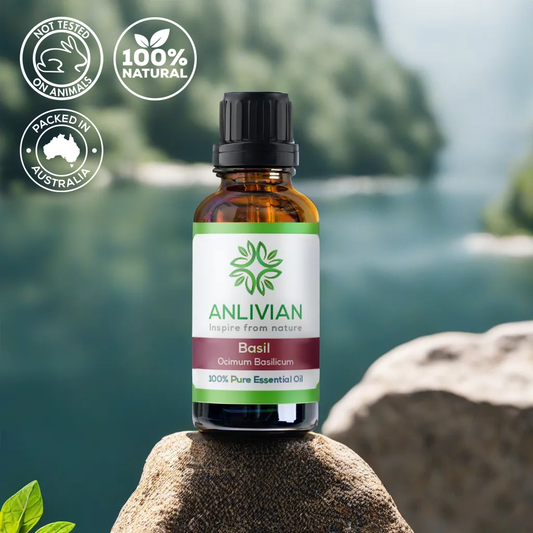 Anlivian Basil Essential Oil bottle on a rock with a blurred background of cliffs and water. Icons confirm the product is Not Tested on Animals, 100% Natural, and Packed in Australia.