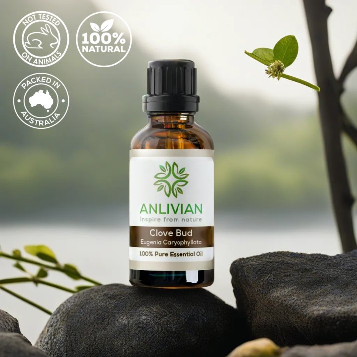 Anlivian Clove Bud essential oil bottle with natural elements in the background