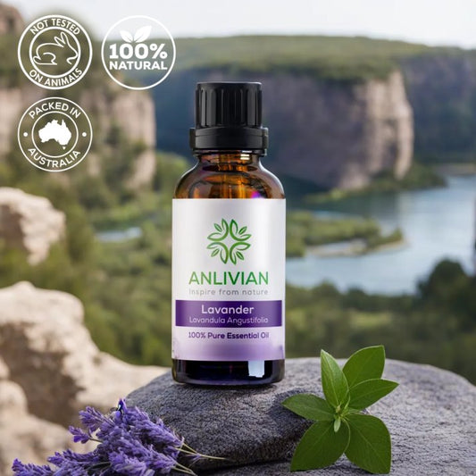 Anlivian Lavender Essential Oil: 100% Natural, stress relief, hair and scalp care and Packed in Australia.