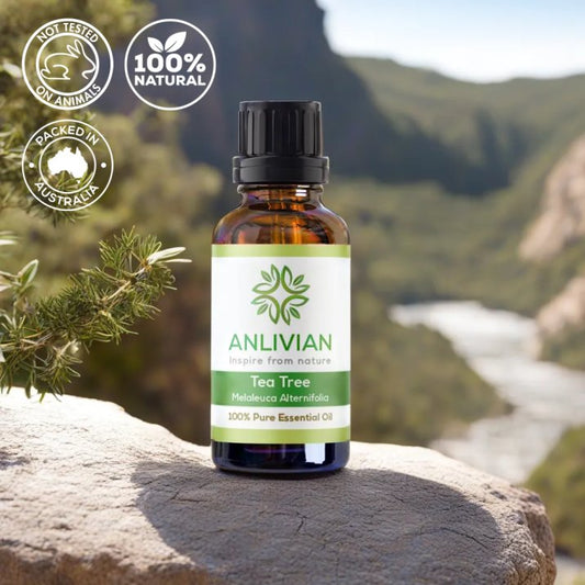 Anlivian Tea Tree Essential Oil bottle on a rock with a leafy sprig and a blurred mountain background. Icons confirm the product is Not Tested on Animals, 100% Natural, and Packed in Australia.